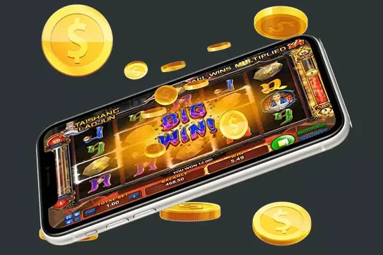 dg5566